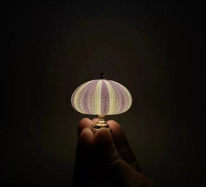 🌊Immersive Healing! Encapsulate the ocean in a glass globe. DIY vintage sea urchin night light—it brought my bestie to tears🌙✨