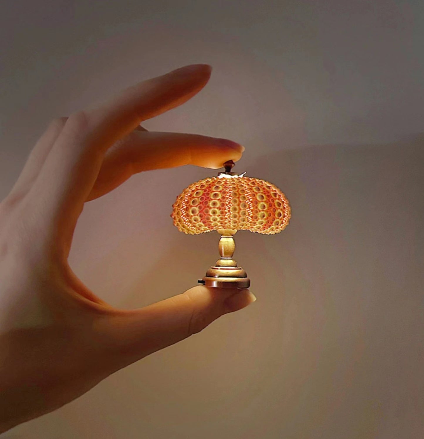 🌊Immersive Healing! Encapsulate the ocean in a glass globe. DIY vintage sea urchin night light—it brought my bestie to tears🌙✨