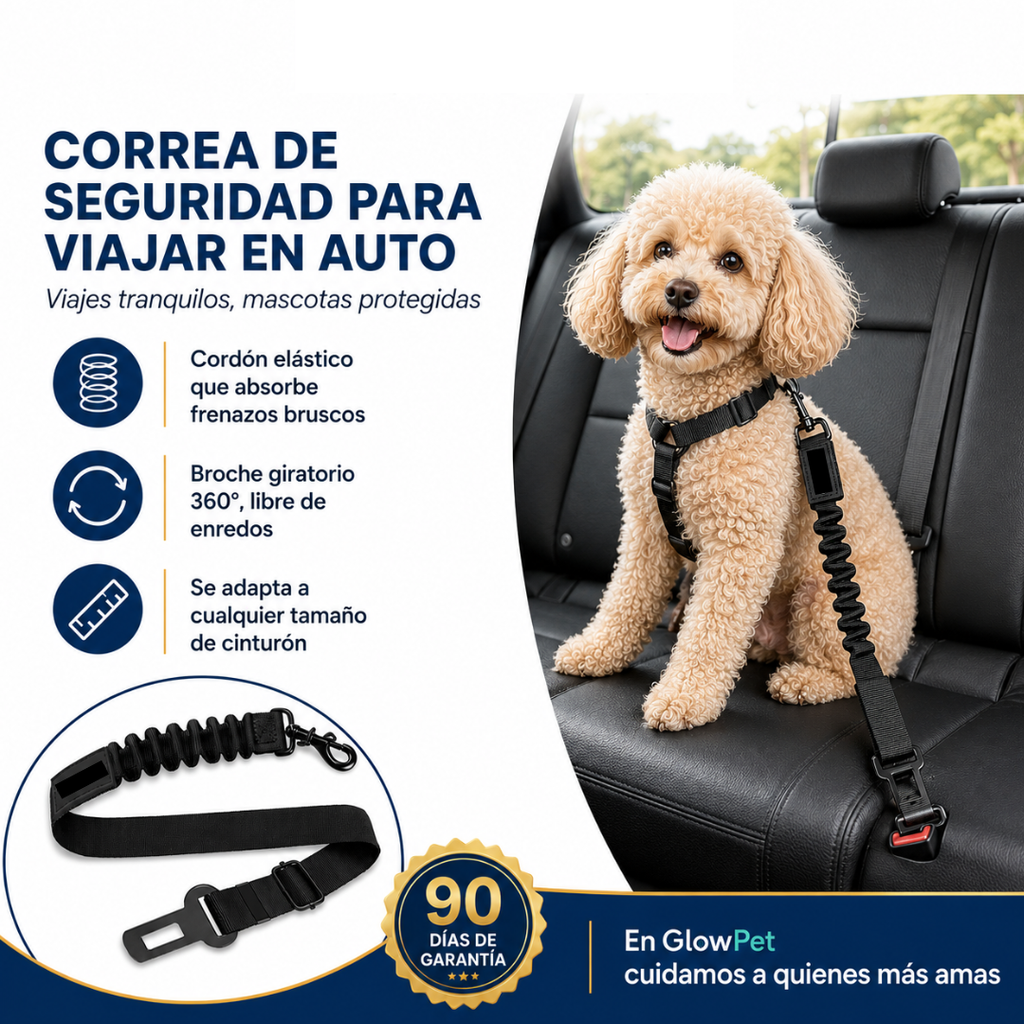 Cinturón para Mascotas en el Auto