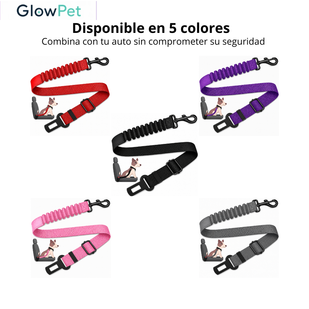 Cinturón para Mascotas en el Auto