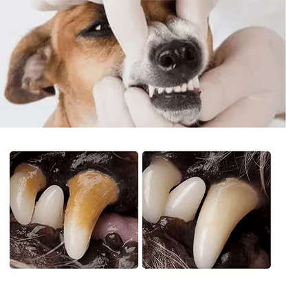 Pet Dental Spray for Tartar Removal