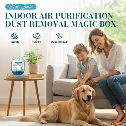 🔥2026 New Collection - Limited-Time Pre-Sale⏰Indoor Air Purification Dust Removal Magic Box🏠🌿